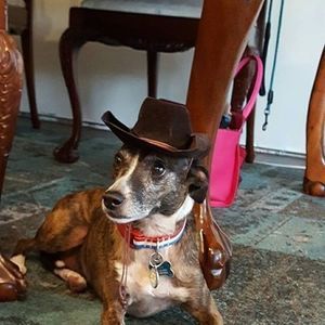 Meet your Posher, Cathy